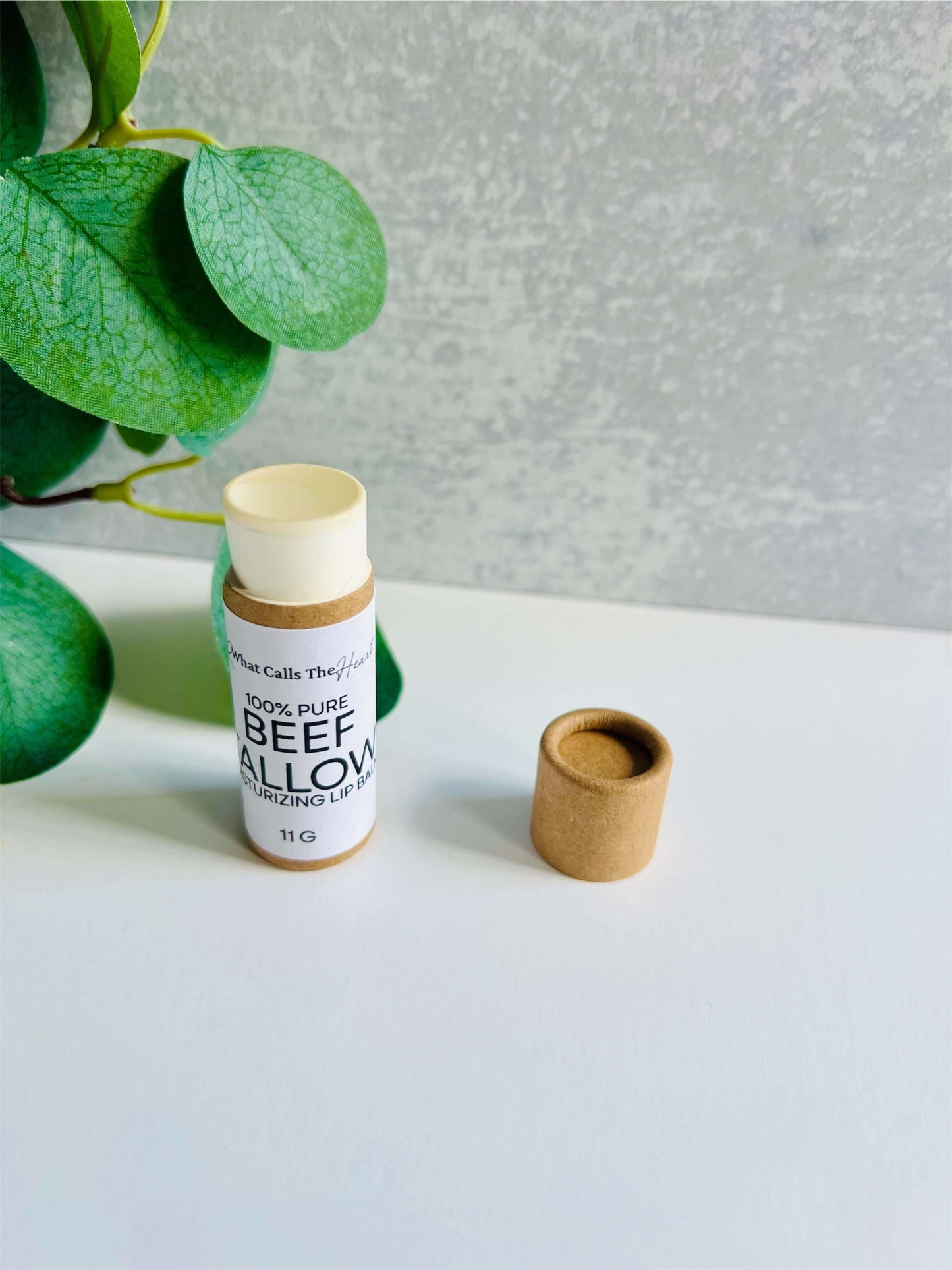 Beef tallow organic lip balm in natural packaging with a plant background, chemical-free and hydrating.