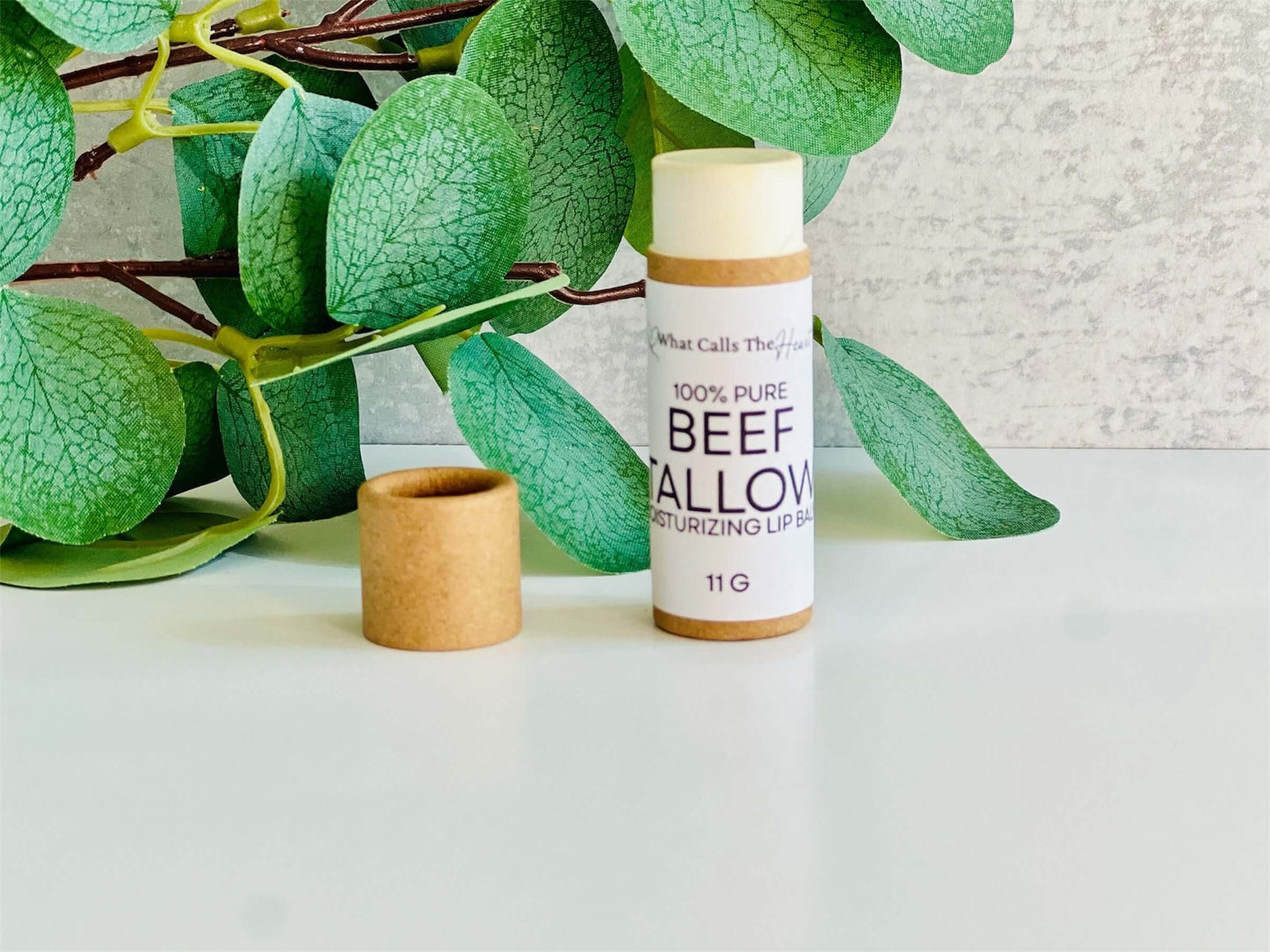 Beef tallow organic lip balm in eco-friendly packaging next to a green plant, perfect for dry skin care.